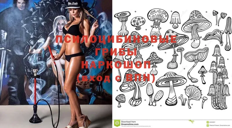 Галлюциногенные грибы Cubensis  Шуя 